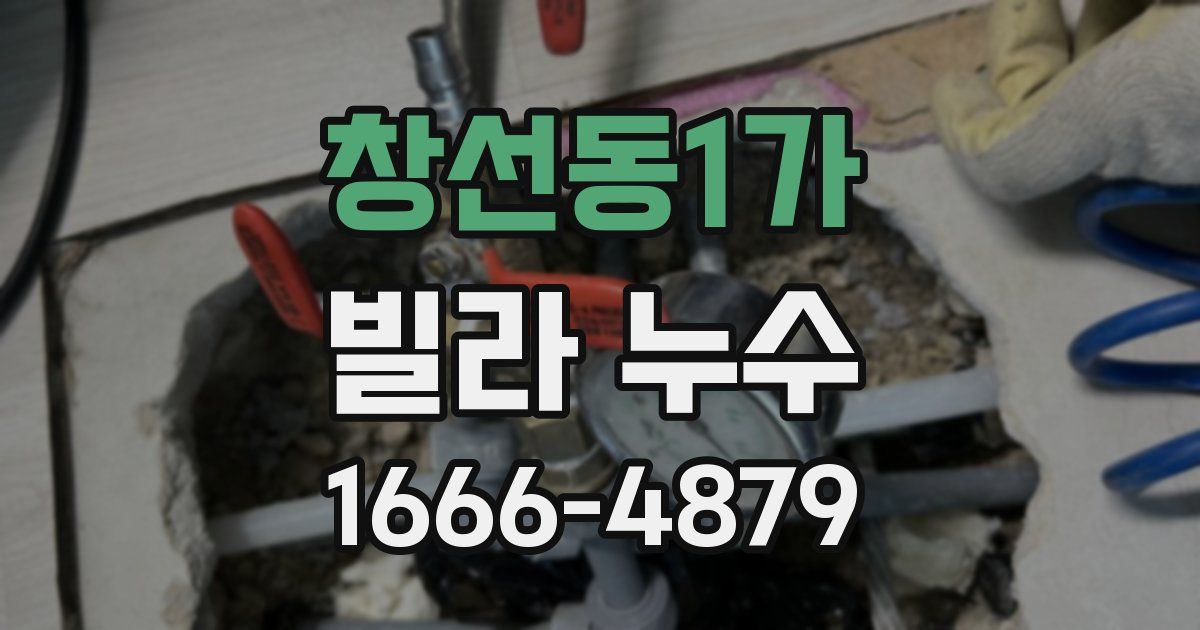 창선동1가 빌라 누수