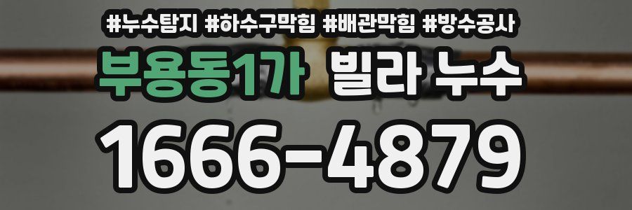 부용동1가 빌라 누수