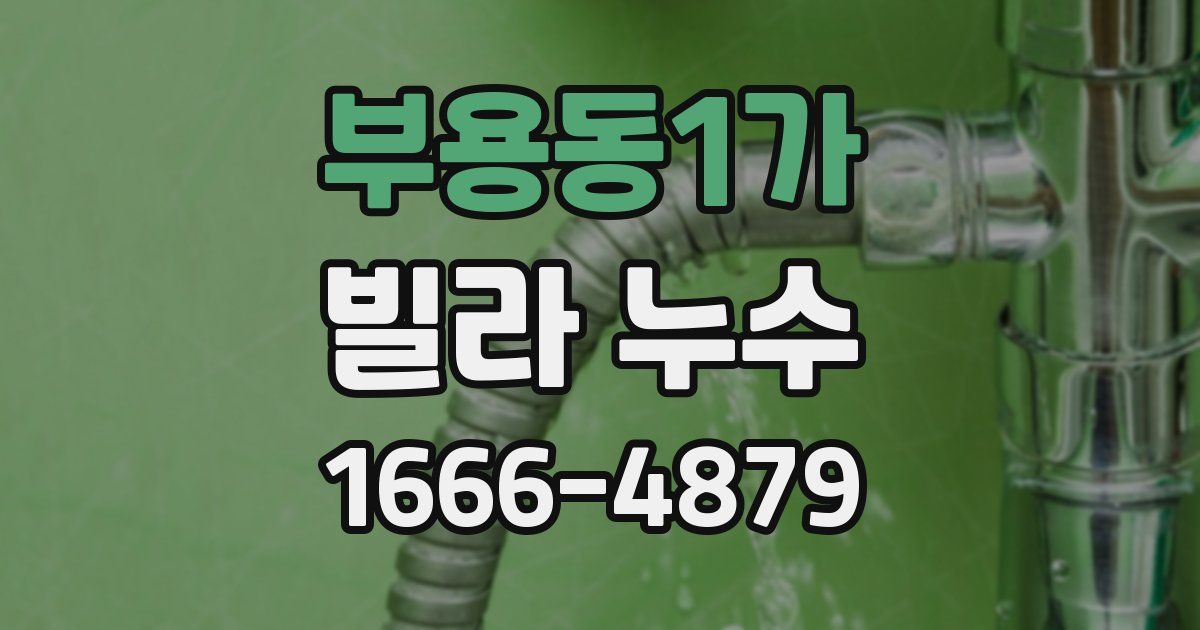 부용동1가 빌라 누수
