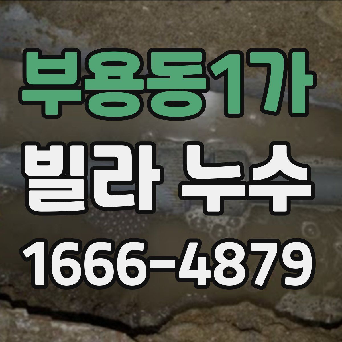 부용동1가 빌라 누수