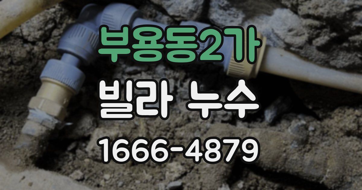 부용동2가 빌라 누수