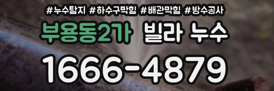 부용동2가 빌라 누수