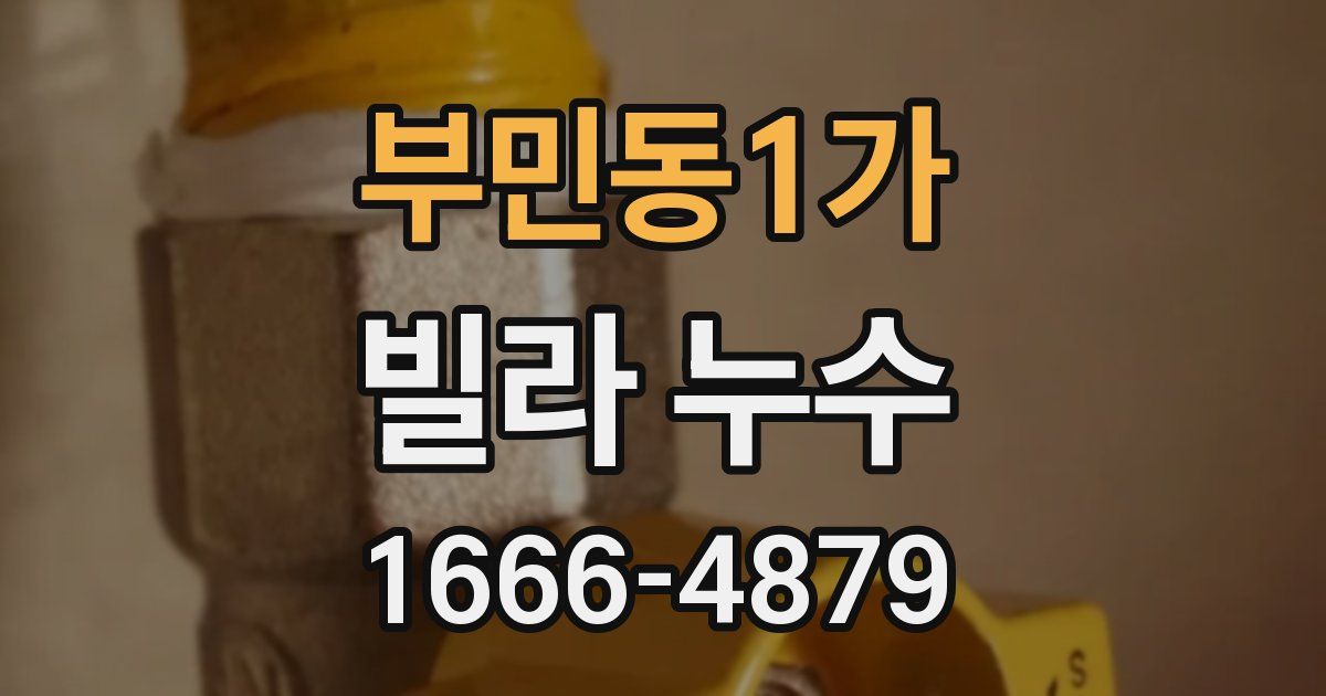 부민동1가 빌라 누수