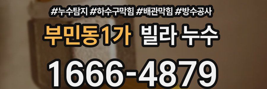 부민동1가 빌라 누수