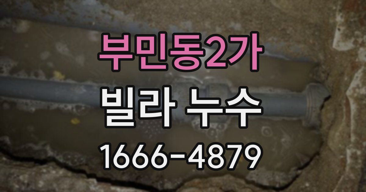 부민동2가 빌라 누수
