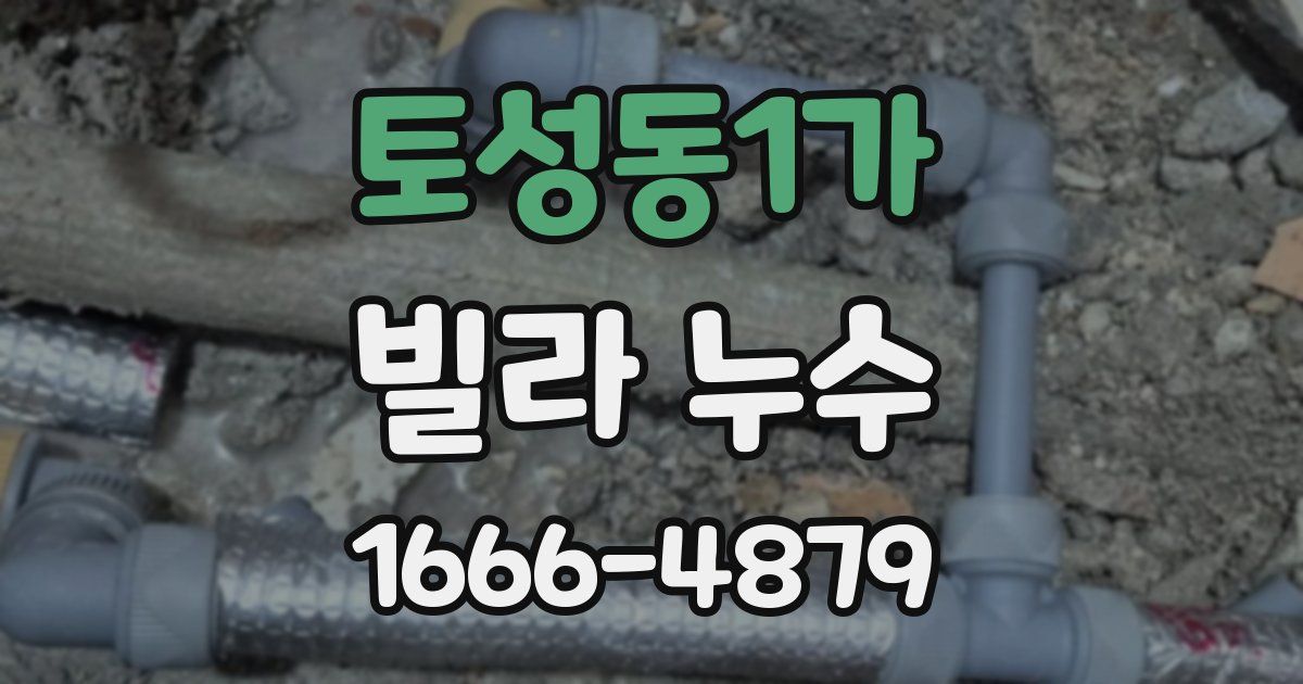 토성동1가 빌라 누수