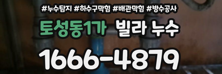 토성동1가 빌라 누수