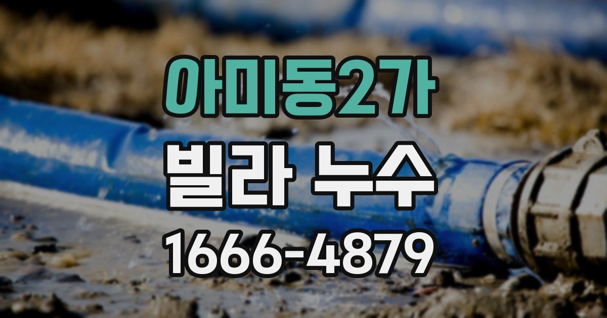 아미동2가 빌라 누수