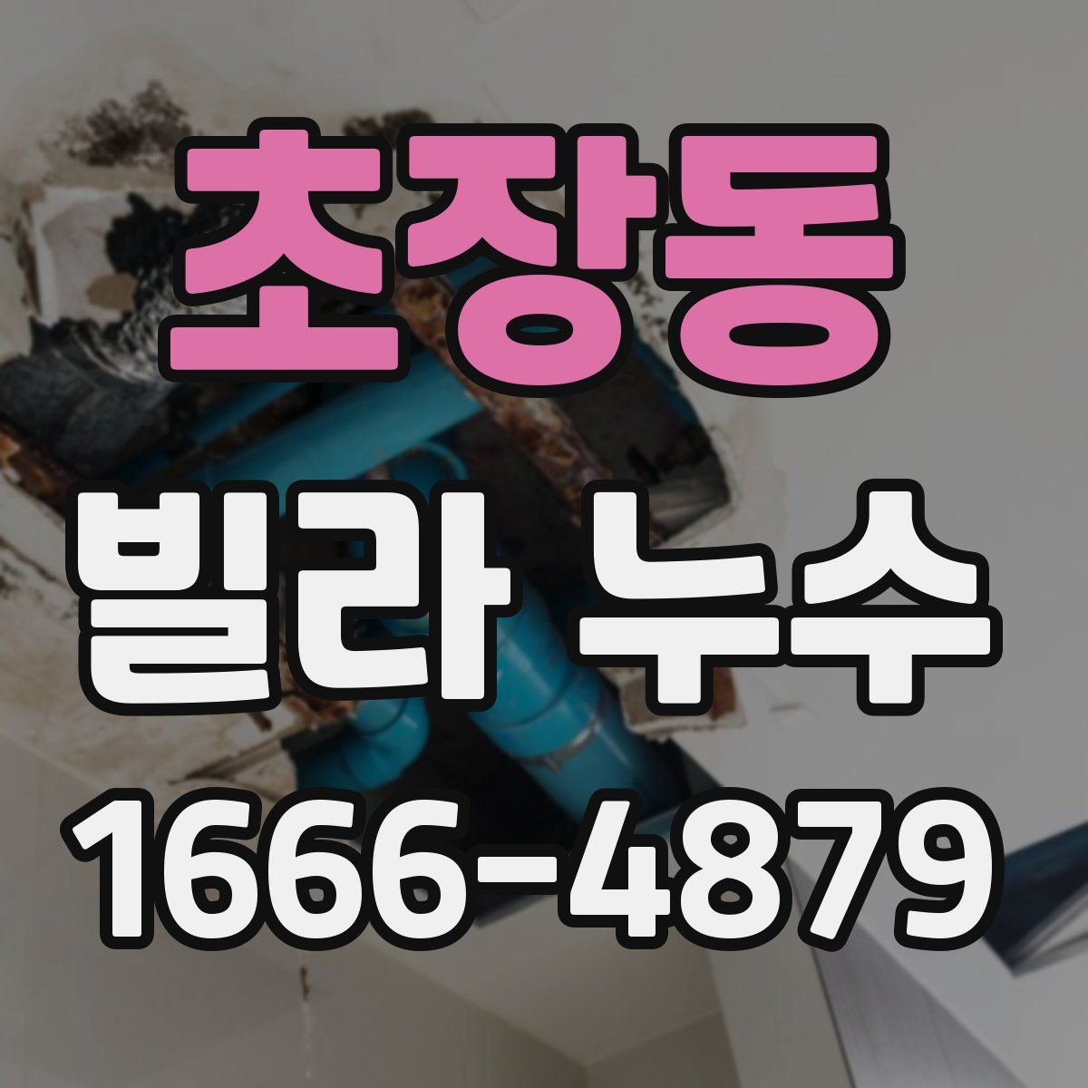 초장동 빌라 누수