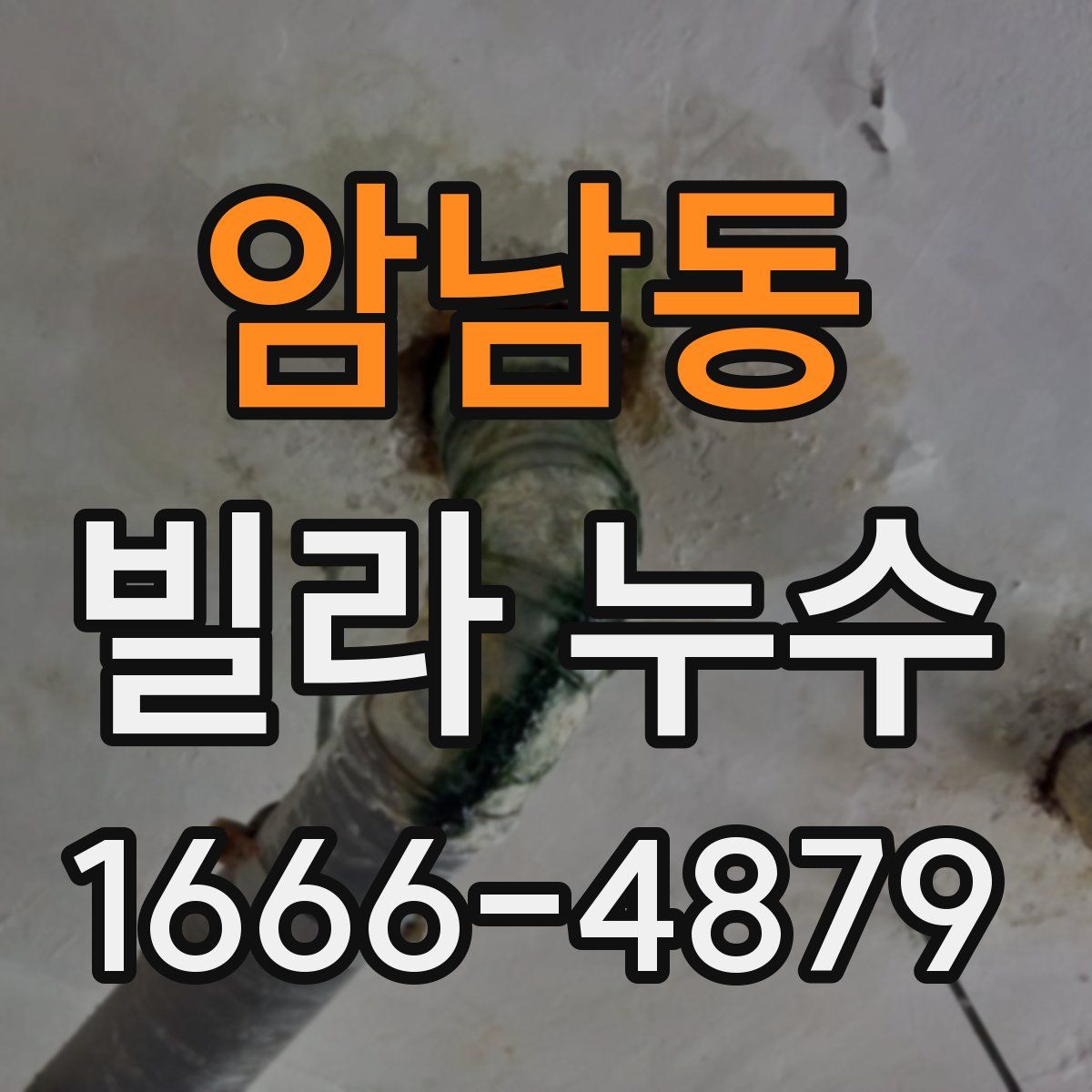 암남동 빌라 누수