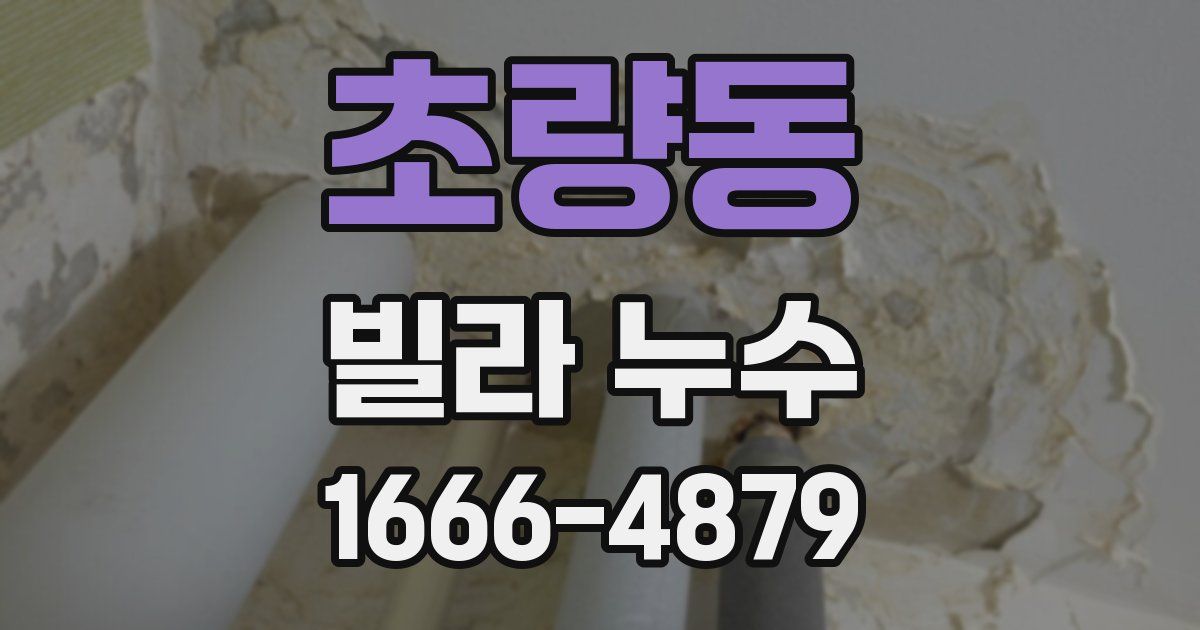 초량동 빌라 누수