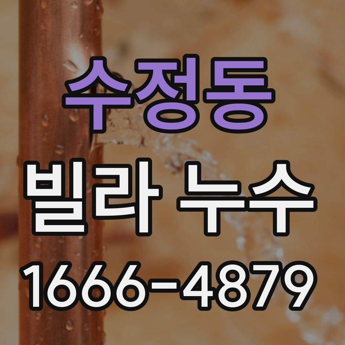 수정동 빌라 누수 상황별 대처 방법 정리