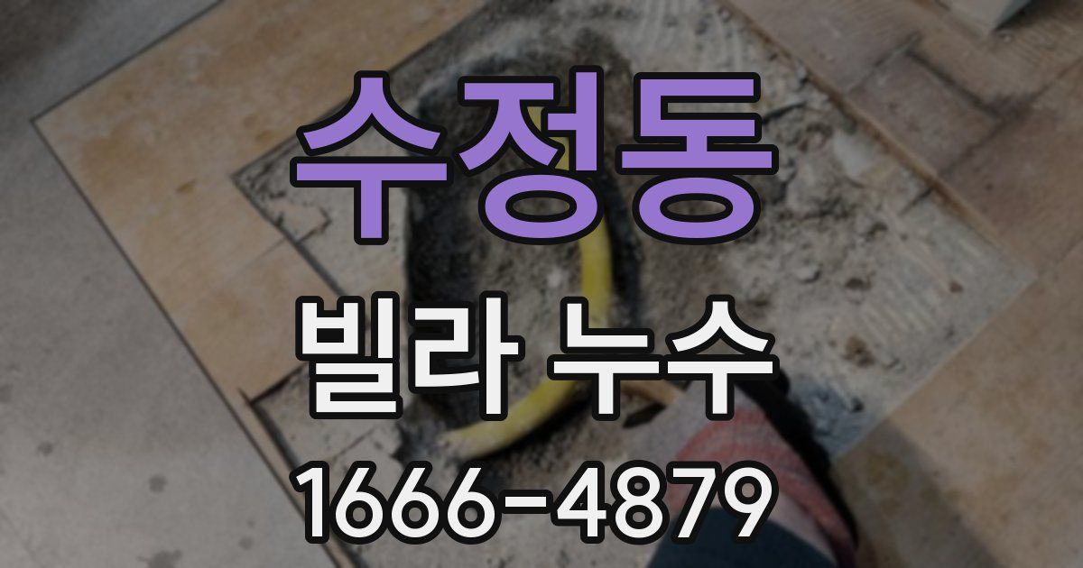 수정동 빌라 누수