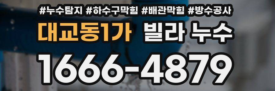 대교동1가 빌라 누수