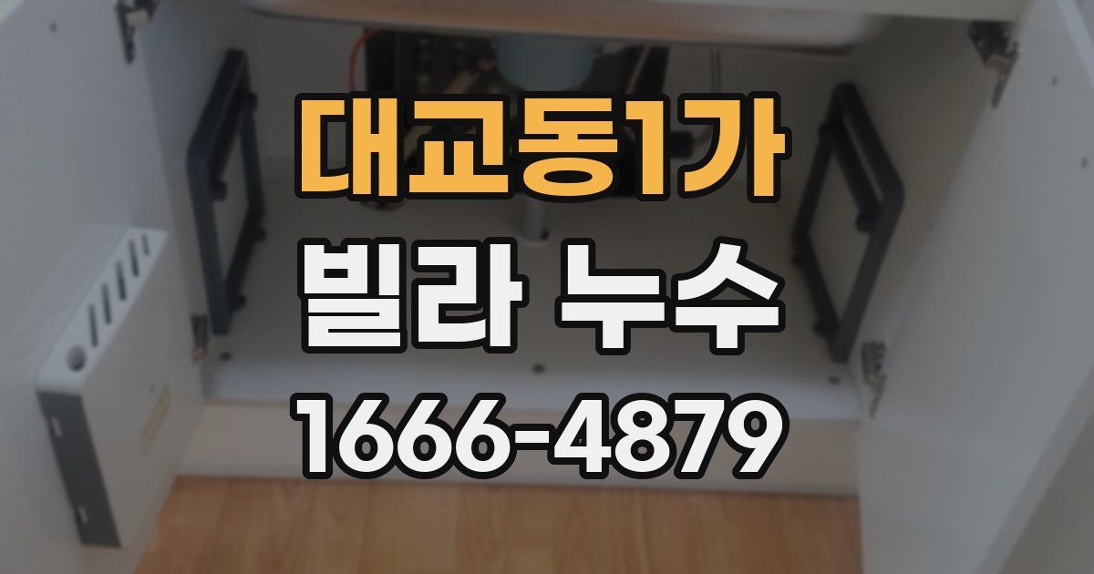 대교동1가 빌라 누수