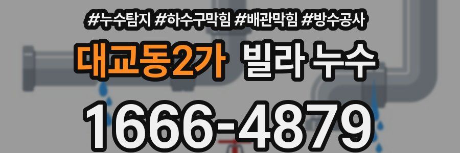 대교동2가 빌라 누수