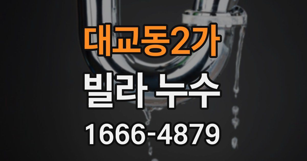 대교동2가 빌라 누수
