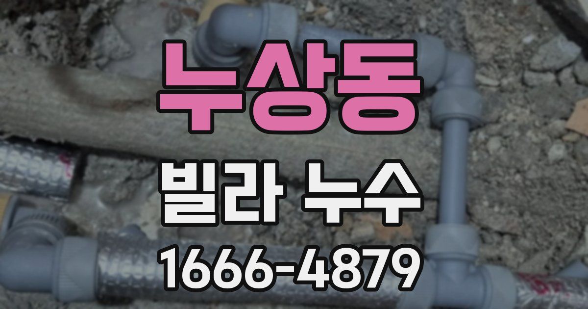 누상동 빌라 누수
