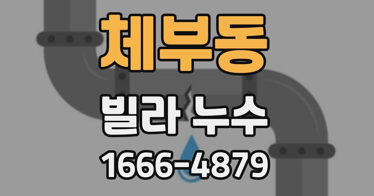 체부동 빌라 누수