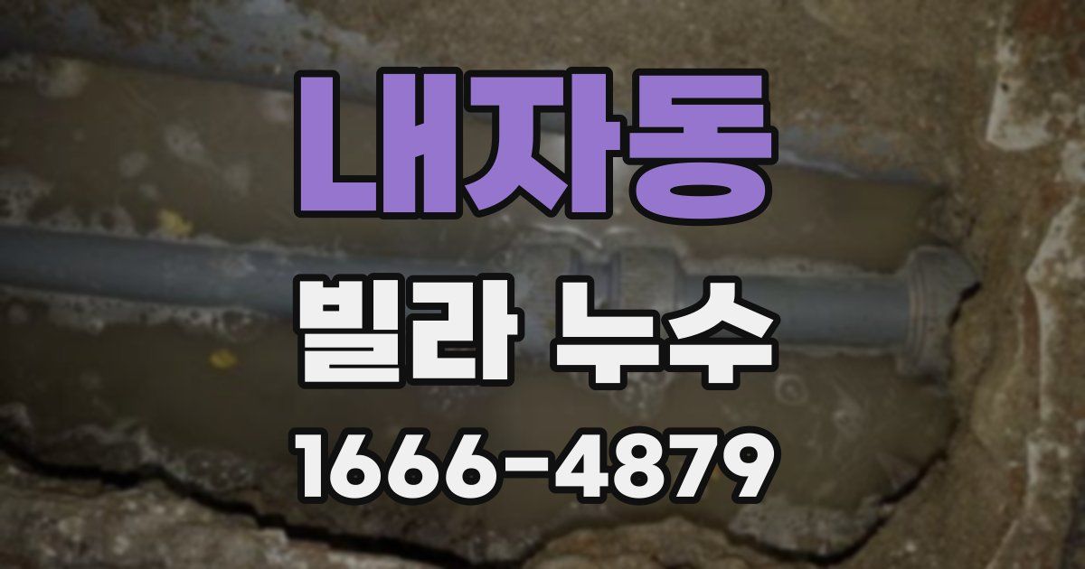 내자동 빌라 누수