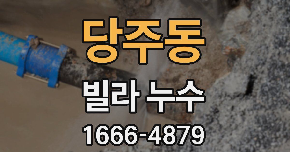 당주동 빌라 누수