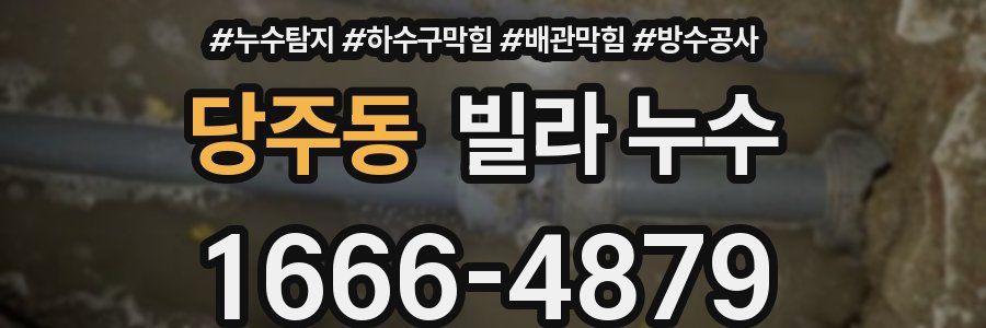당주동 빌라 누수