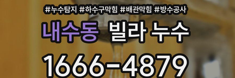 내수동 빌라 누수
