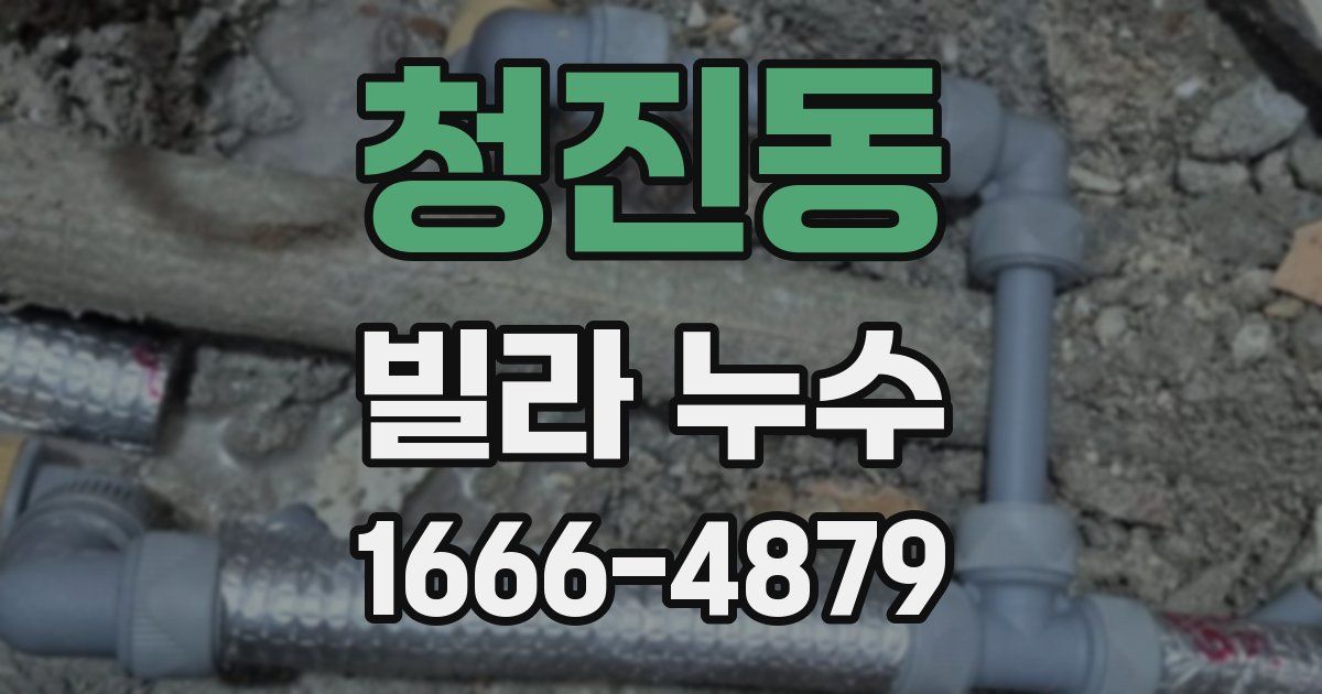 청진동 빌라 누수