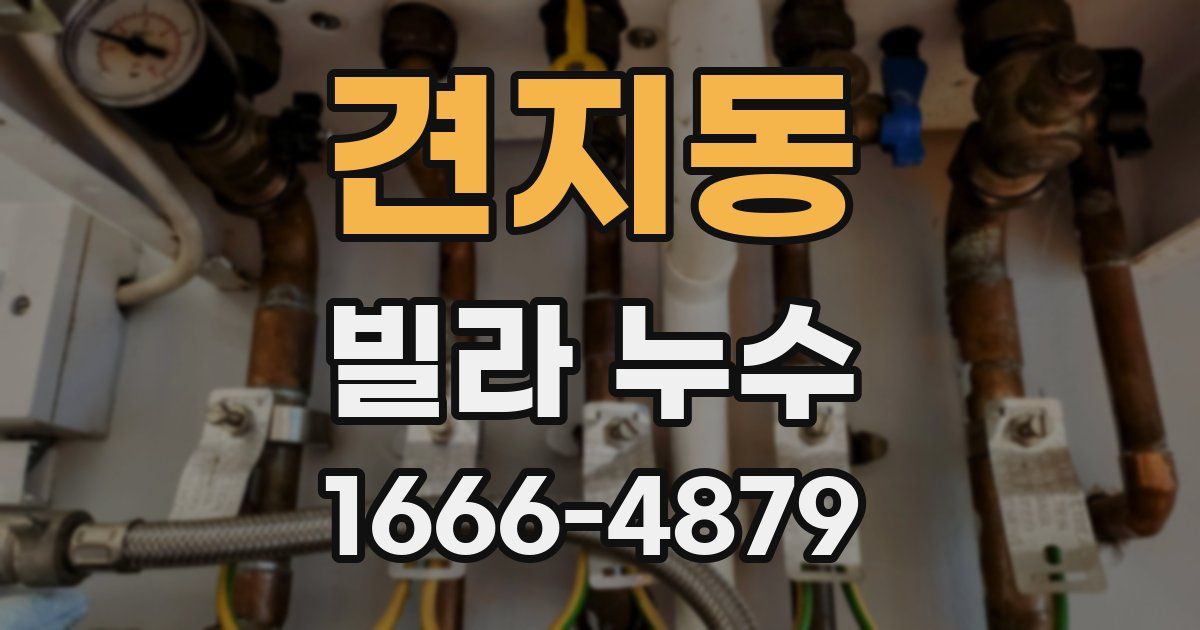 견지동 빌라 누수