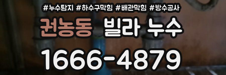 권농동 빌라 누수
