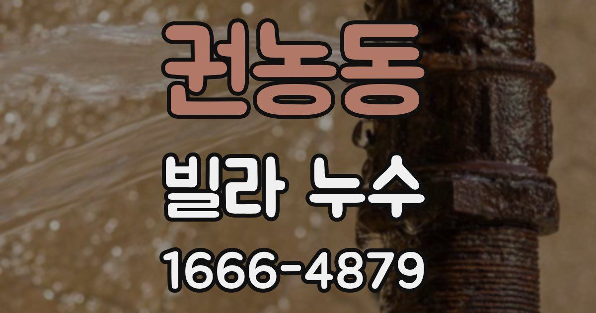 권농동 빌라 누수