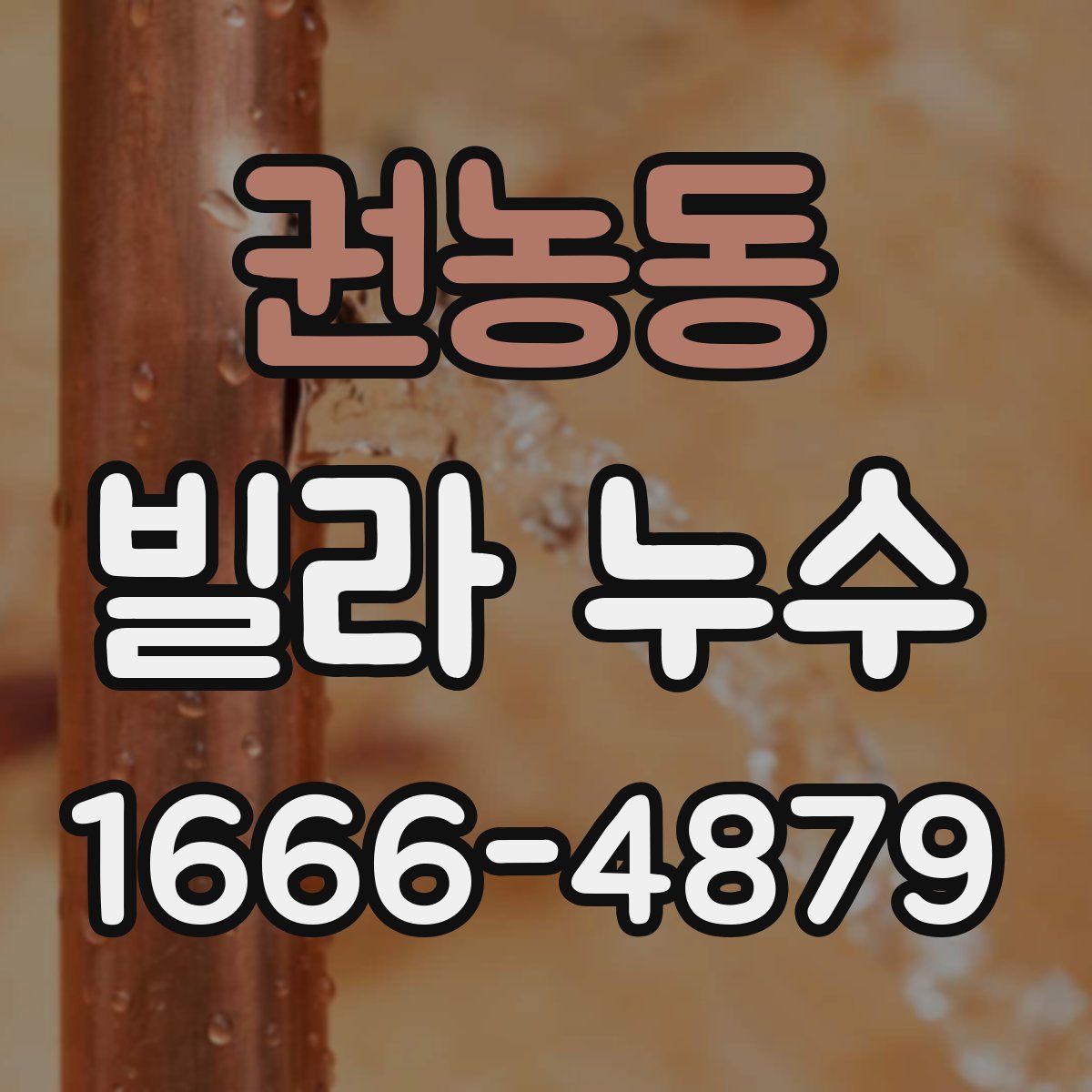 권농동 빌라 누수