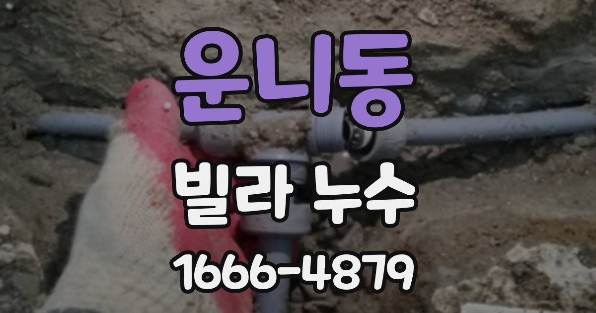 운니동 빌라 누수