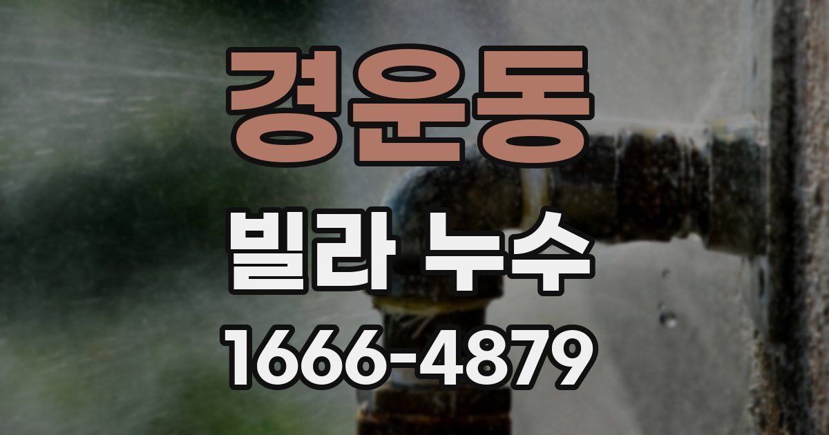 경운동 빌라 누수