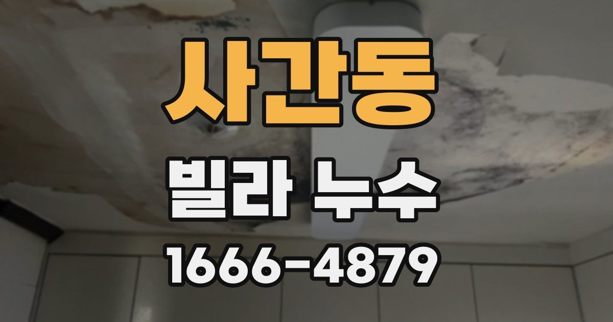 사간동 빌라 누수