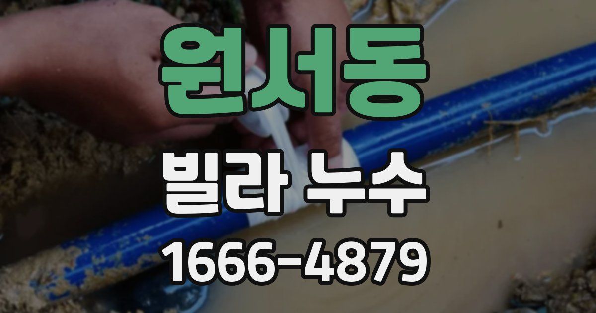 원서동 빌라 누수