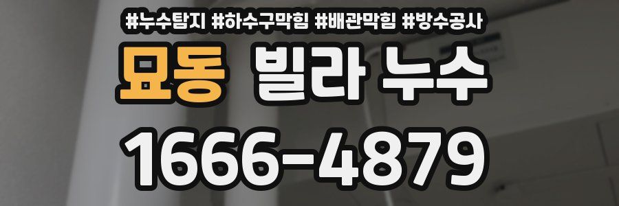 묘동 빌라 누수