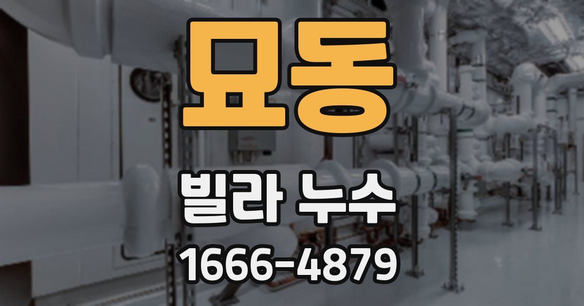 묘동 빌라 누수