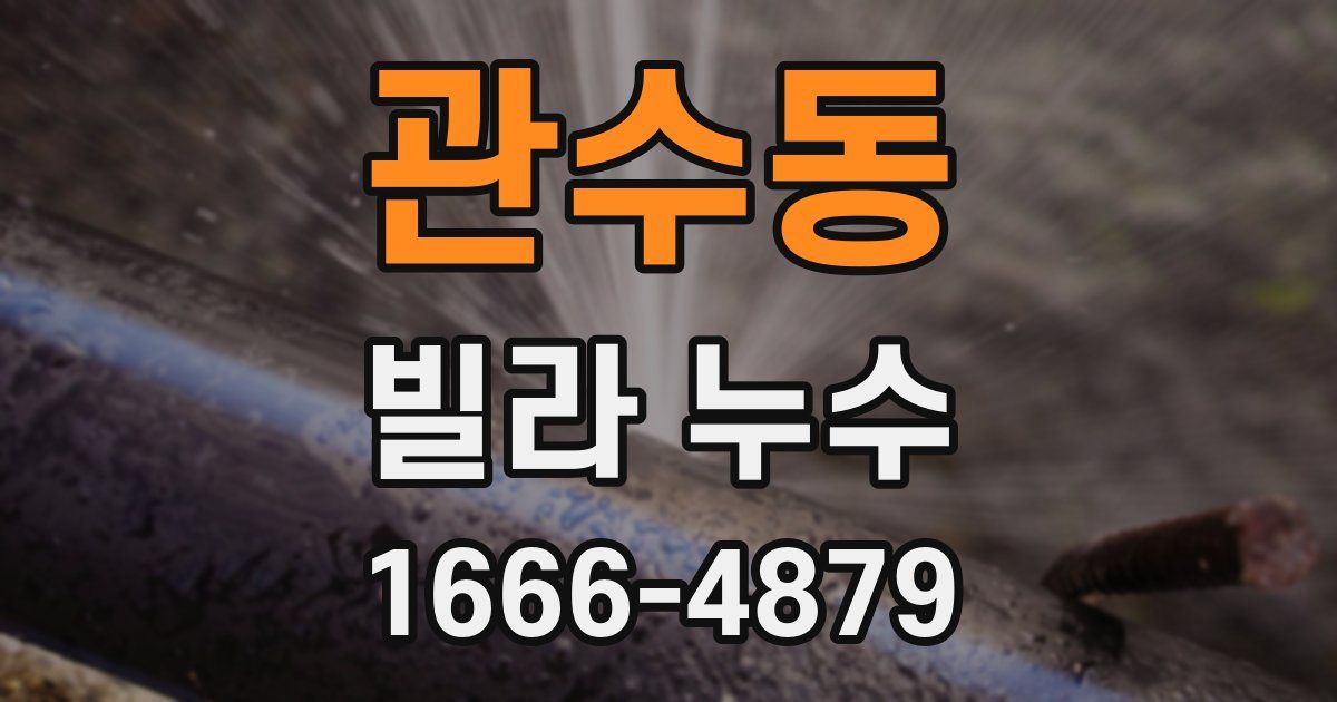 관수동 빌라 누수