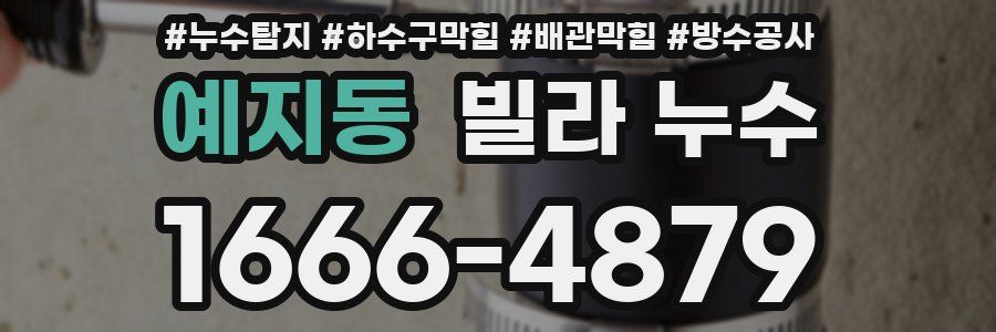 예지동 빌라 누수