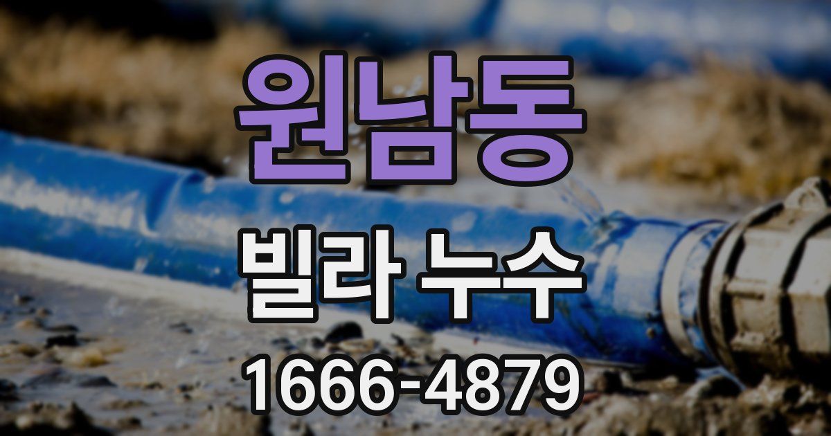 원남동 빌라 누수