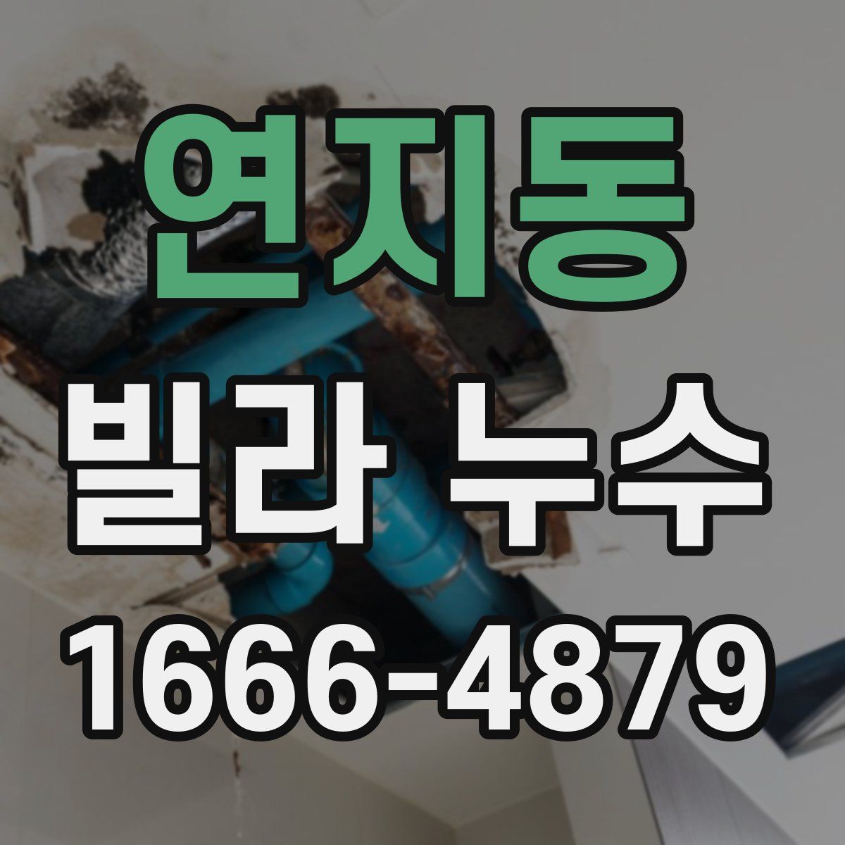 연지동 빌라 누수