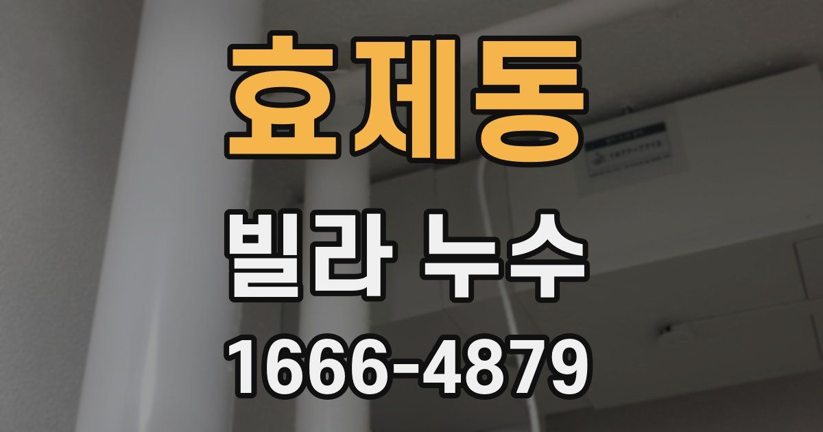 효제동 빌라 누수