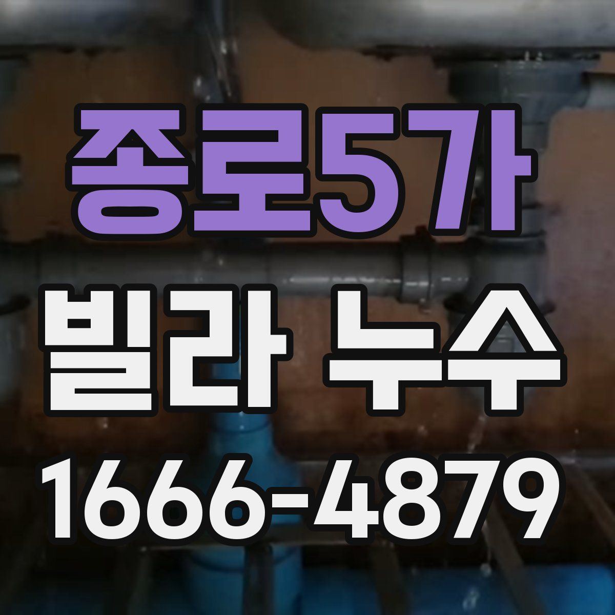 종로5가 빌라 누수