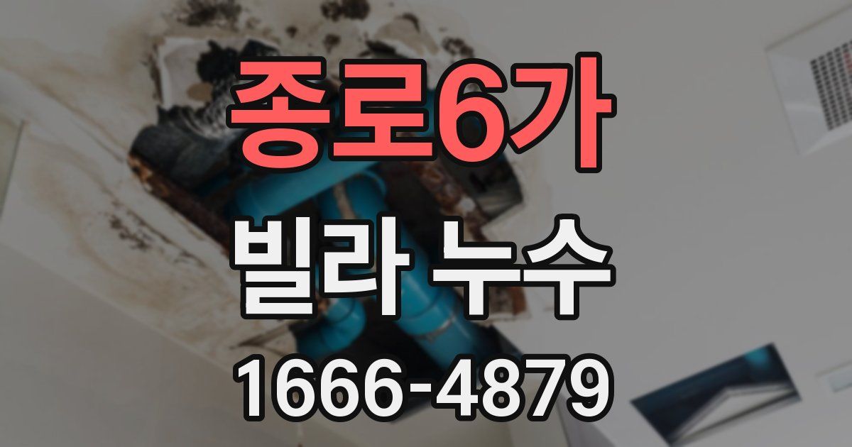 종로6가 빌라 누수