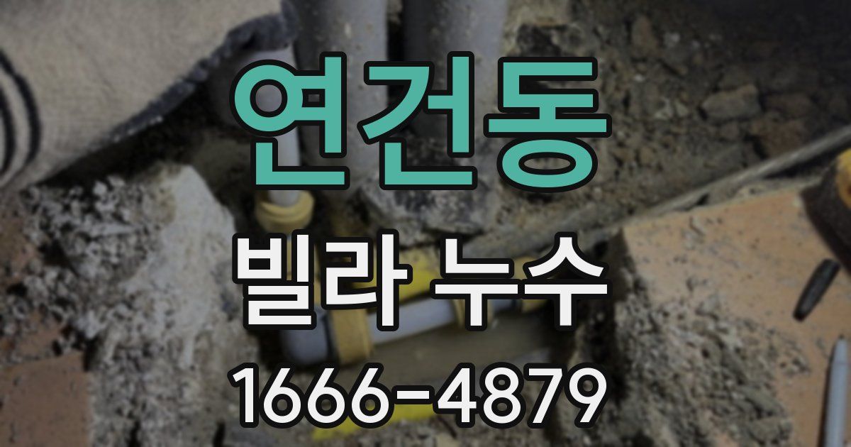 연건동 빌라 누수