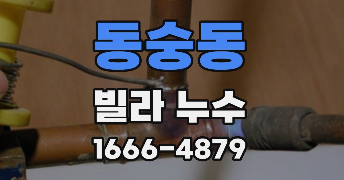 동숭동 빌라 누수
