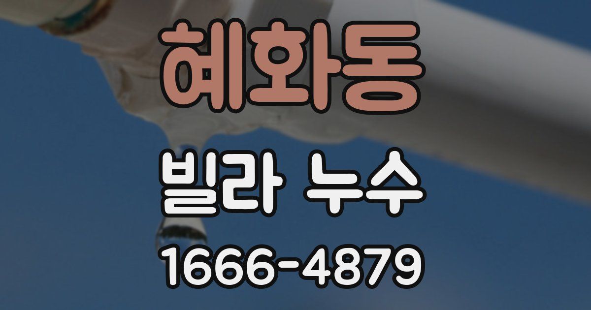 혜화동 빌라 누수