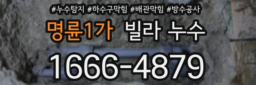 명륜1가 빌라 누수