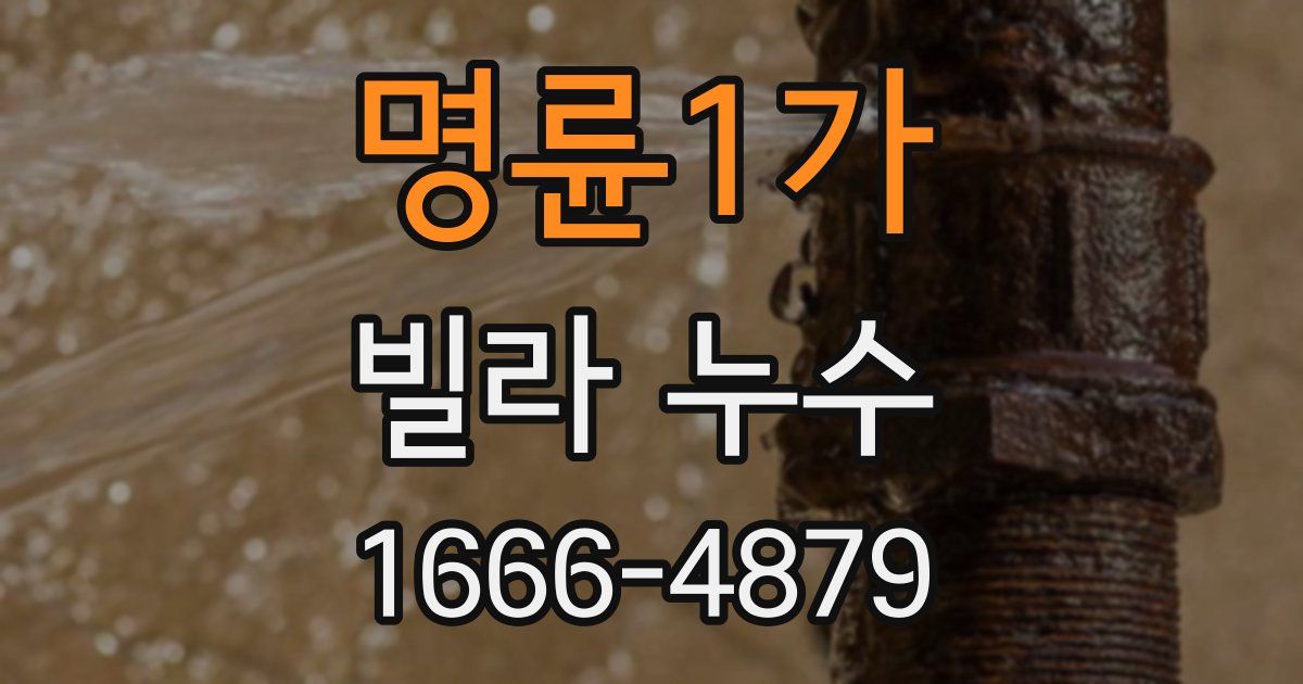 명륜1가 빌라 누수